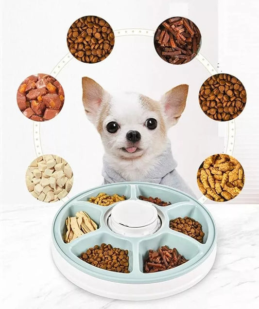 Dispensador Automático de alimento para Perros y gatos.